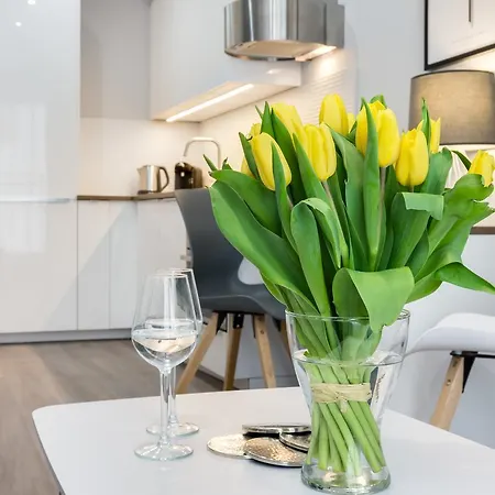 Elite Zone Apartament Gdańsk